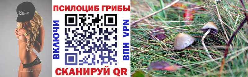 продажа наркотиков  Сосновоборск  OMG рабочий сайт  Галлюциногенные грибы MAGIC MUSHROOMS 